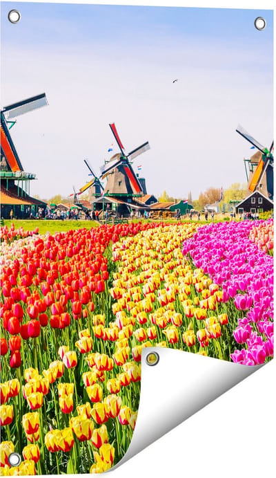 Gards Tuinposter Kleurrijke Tulpen Bloemenveld - Windmolen - 40x60 cm - Tuindoek - Tuindecoratie - Wanddecoratie buiten - Tuinschilderij