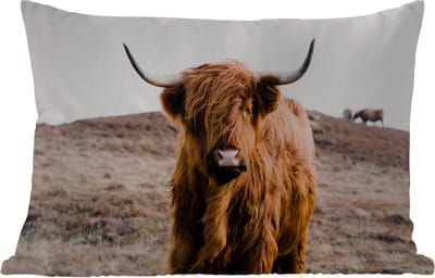 Buitenkussens - Schotse hooglander - Landschap - Koe - Bruin - Dieren - Natuur - 60x40 cm - Weerbestendig