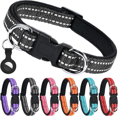 Reflecterende Nylon Hondenhalsband met Dubbele Beveiliging, Verstelbaar en Comfortabel met Neopreen Pad, Geschikt voor Alle Honden