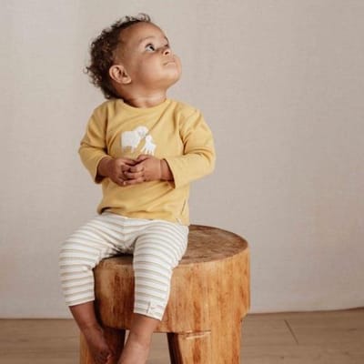 Little Dutch Lange broek - Maat 74 - Legging Jongens & Meisjes - Multi Stripe, Meerkleurig - Little Farm