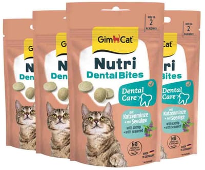 GimCat Kattensnack Nutri Dental Bites - 4 x 40 gr - Voordeelverpakking