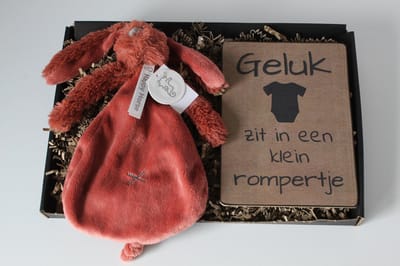Brievenbus cadeau Rabbit Richie Rusty - cadeau baby - knuffel happy horse