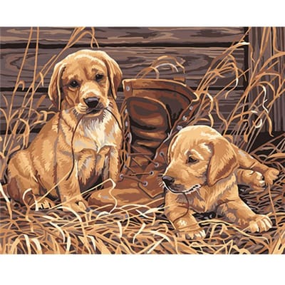 Diamant schilderij kruissteek 5d diy diamant borduurwerk schattig huisdier diamant mozaïek hond 20X30CM beige