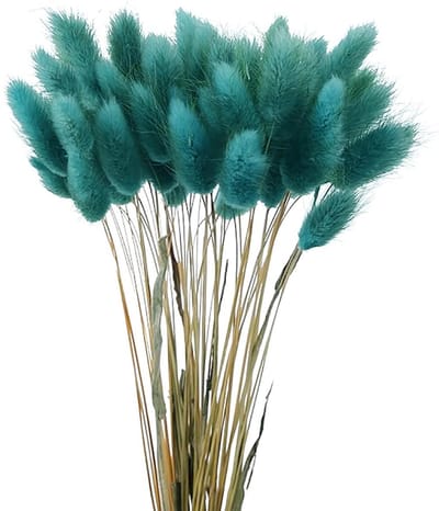 Dailygoods- Gedroogde Bloemen 60 Stuks - Drogen Konijnenstaart - Boho Decoratie - Fluffy Bloemen - Natuurlijke Bloemen - Veilig en Niet Giftig - Droogbloemen