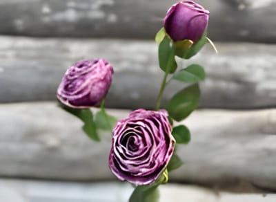 Roze 3 knoopjes violet Buitengewoon de Boet