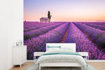 Behang - Fotobehang Lavendel - Zonsondergang - Paars - Bloemen - Breedte 415 cm x hoogte 300 cm
