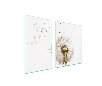 TMK ArtDeko - Snijplank - Kwiat - 100x52 cm - Glas