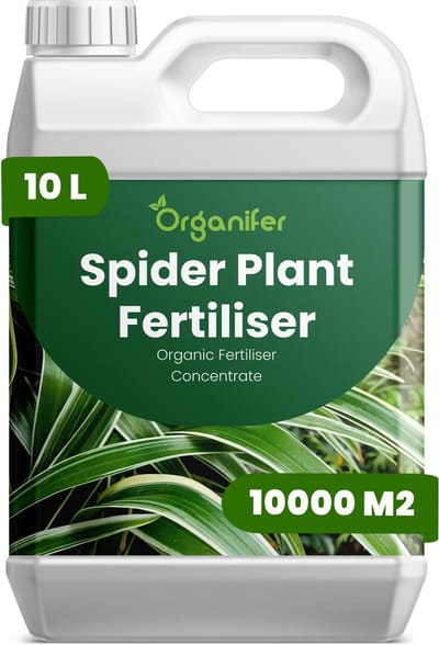 Vloeibare Meststof Voor Graslelie 10 L Voor 10000 M2 - Npk 2-1-8 - Ondersteunt Gezonde Groei - Versterkt Bonttekening En Bladkleur - Ondersteunt Plantvitaliteit En Visuele Kwaliteit - Ondersteunt De Vorming Van Gezonde Uitlopers - Organifer