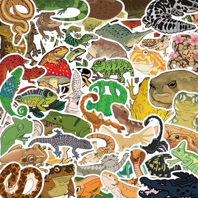 50 pièces Autocollants Lézards Cool Animaux Reptiles Drôles Décalcomanies Jouets Graffiti Bricolage Ordinateur Portable Bagages Téléphone Réfrigérateur Valise
