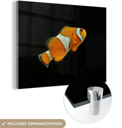 MuchoWow® Glasschilderij 160x120 cm - Schilderij acrylglas - Vis - Lijn - Zwart - Foto op glas - Schilderijen
