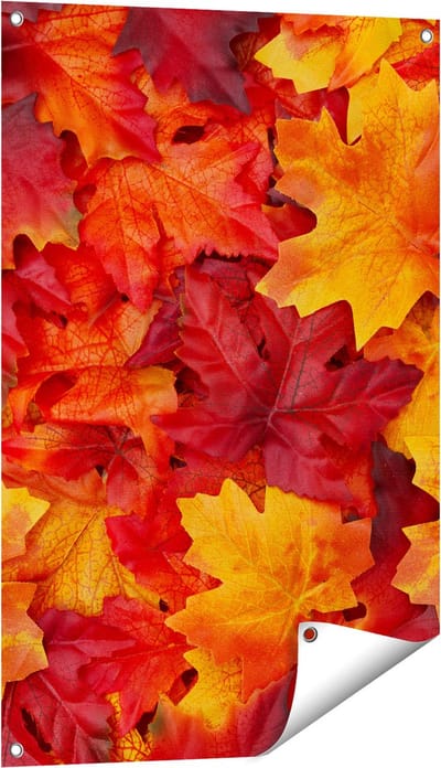 Gards Tuinposter Herfstbladeren in het Oranje en Rood - 60x90 cm - Tuindoek - Tuindecoratie - Wanddecoratie buiten - Tuinschilderij