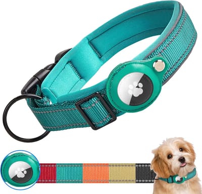 Hondenhalsband voor Apple AirTag, verstelbaar, reflecterend, waterdicht, AirTag-halsband, gewatteerd, tactische hondenhalsband met AirTag-houder voor kleine, middelgrote en grote honden (S,Cyaan)