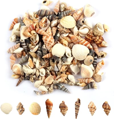 Decoratieve Mix van Natuurlijke Schelpen 200g voor Kaarsen, Ambachten en Vazen (0.3-3cm)