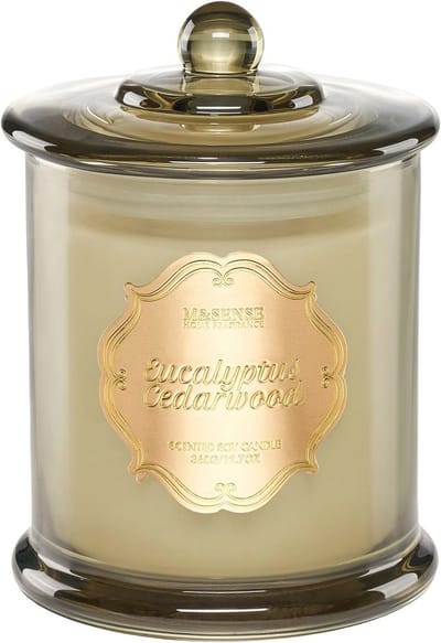 Vanille Geurkaars - Biologische Sojawas Kaars (Toxinevrij & Rookvrij) - Grote Pot Kaars van 360g (75 Uren Brandtijd) - Intense Geur - Perfect Cadeau voor Thuis