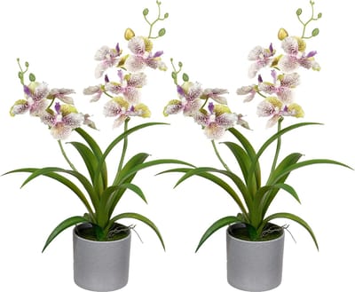 Louis Maes Orchidee bloemen kunstplant in bloempot - 2x - creme/lila bloemen - H38 cm