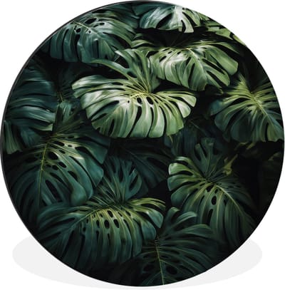 WallCircle - Wandcirkel - Muurcirkel - Plant - Monstera - Lichtinval - Aluminium - Dibond - 30x30 cm - Binnen en Buiten