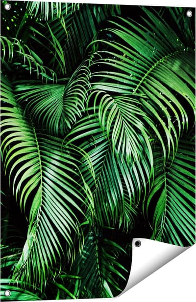Gards Tuinposter Tropische Palm Bladeren - Groen - 60x80 cm - Tuindoek - Tuindecoratie - Wanddecoratie buiten - Tuinschilderij