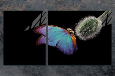 TMK ArtDeko - Snijplank en Beschermplaat - Motyl - 100x52 cm - Hergebruikbaar