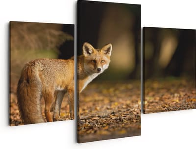 Artaza Canvas Schilderij Drieluik Vos in het Herfstbos - 150x120 - Groot - Foto Op Canvas - Canvas Print