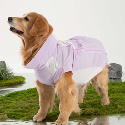 Vêtements de protection solaire pour chien Simple Vent Été Refroidissement Refroidissement Léger Et Confortable Respirant Gilet pour Chien Vêtements pour Animaux (PURPLE,L) violet