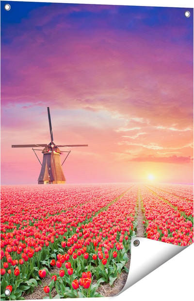 Gards Tuinposter Rode Rozen Bloemenveld met een Windmolen - 60x80 cm - Tuindoek - Tuindecoratie - Wanddecoratie buiten - Tuinschilderij