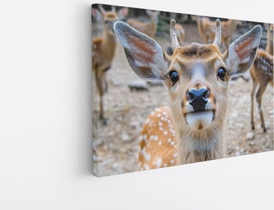 Saammp Canvas Schilderij - jong hert met andere herten - Natuur - Dieren - 45x30 - Foto op canvas - Wanddecoratie - Muurdecoratie Woonkamer - Slaapkamer decoratie - Canvas Print