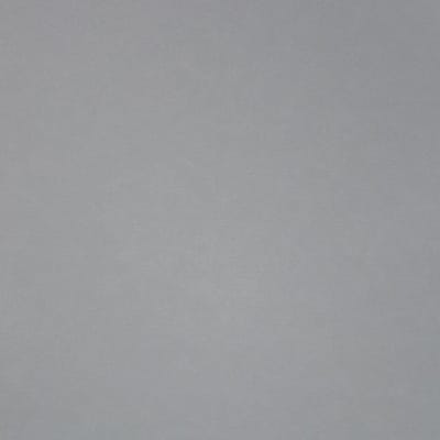Dutch Wallcoverings - Schuimvinyl uni grijs
