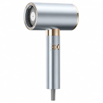 Fohn - zilver 2000 W - koude en warme lucht met negatieve ionen - voor thuis, studentenkamer en salon - concentratormondstuk
