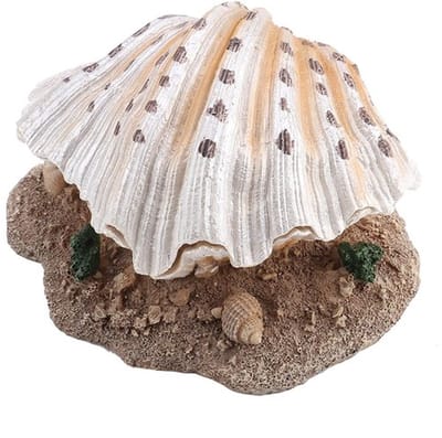 Store_9 - Aquariumdecoratie Koraalrif - Veilige Hars - Verbrede Basis