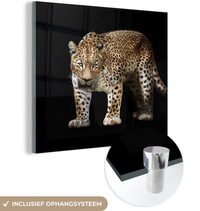 MuchoWow® Glasschilderij 20x20 cm - Schilderij acrylglas - Luipaard - Vacht - Wild - Foto op glas - Schilderijen