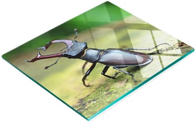 Multifunctionele decoratieve snijplank van gehard glas met kevermotief, 60x52 cm