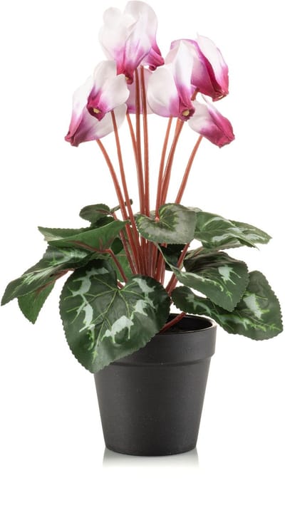 Emerald - Kunstplant Cyclamen in pot 30cm wit/beauty - Kunstplant voor binnen