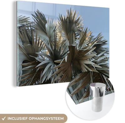 MuchoWow® Glasschilderij 150x100 cm - Schilderij acrylglas - Palm - Bladeren - Tropisch - Zomer - Foto op glas - Schilderijen