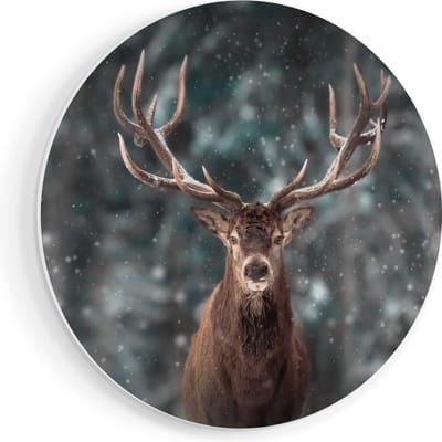 Artaza Forex Muurcirkel Hertenkop - Hert In De Sneeuw - 70x70 cm - Wandcirkel - Rond Schilderij - Wanddecoratie Cirkel - Muurdecoratie