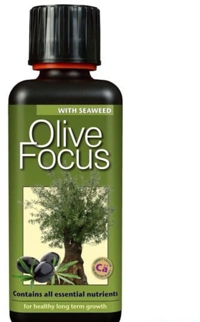GROWTH TECHNOLOGY OLIVE FOCUS 500 ML