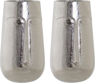 Set van 2x stuks bloemenvaas zilver van aluminium met gezicht 16 x 6 x 28 cm - Bloemen of takken vaas voor binnen