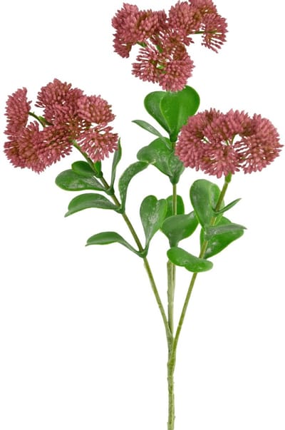Easyplants | Kunsttak Sedum 56 cm roze | Zijde | Nepbloemen | roze | Onderhoudsvrij | Kant-en-klaar