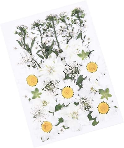 33 Stuks Gedroogde Bloemen en Bladeren voor Kunst en Ambachten - Perfect voor DIY Resin, Scrapbooking en Kaarten Maken - Stijl D