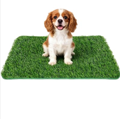 Kunstgras - 58 x 46 cm - Hondentoilet - Puppytoilet - Geschikt voor zindelijkheidstraining van puppy's en kittens - Groen