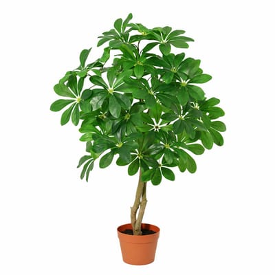 Florafy Kunstplant Schefflera Arboricola 120cm - Kunstplanten voor binnen - Onderhoudsvrij