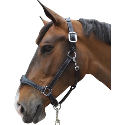 Leren halster Flags&Cup Paris