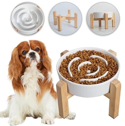 Verhoogde anti-schrok hondenvoerbak met antislipstandaard en puzzeldoolhofontwerp voor kleine en middelgrote honden