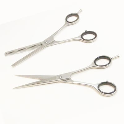 Guardian Beauty Scharenset - 6,5 Inch - Roestvrij Staal - Rechtshandig - Kappersgereedschap