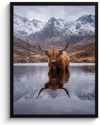Poster in lijst - Fotolijst 60x80 cm - Posters - Schotse hooglander - Bruin - Water - Posterlijst zwart - Decoratie - Wanddecoratie woonkamer - Muurdecoratie slaapkamer