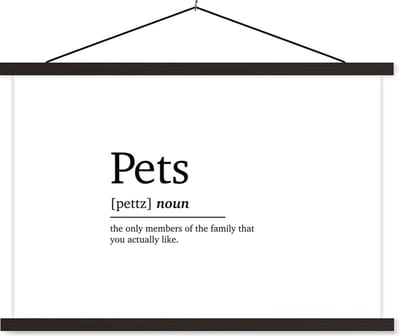 Posterhanger incl. Poster 60x40 cm - Schoolplaat - Quotes - Pets - Huisdieren definitie - Woordenboek - Spreuken - Textielposter - Zwarte latten