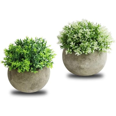2 PIÈCES Bonsaï Plante Simulée Boule Semicirculaire Pulpe de Bonsaï Bureau Plantes Vertes Ornements en Pot Blanc Vert beige