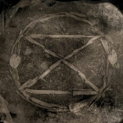 King Eider Common Eider - Extinction (CD)