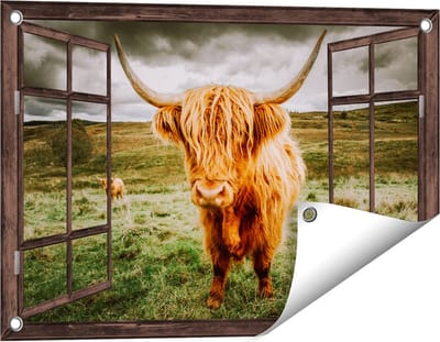 Gards Tuinposter Doorkijk Schotse Hooglanders in de Weide met Wolken - 60x40 cm - Tuindoek - Tuindecoratie - Wanddecoratie buiten - Tuinschilderij