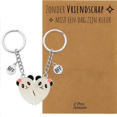 BFF Sleutelhanger voor 2 'Zonder Vriendschap mist een dag zijn kleur' - Magnetisch Hartje Panda's - Sleutelhanger set op Cadeau Kaartje - Zilverkleurig - Vriendschap Symbool - Pax Amare