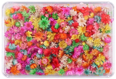 Dailygoods- Droogbloemen 200 Stuks - Mini Droogbloemen - Natuurlijke Bloemen - Kleurrijk - Voor Kaarten en Decoraties - Gewicht 120 Gram - Bloemdecoratie